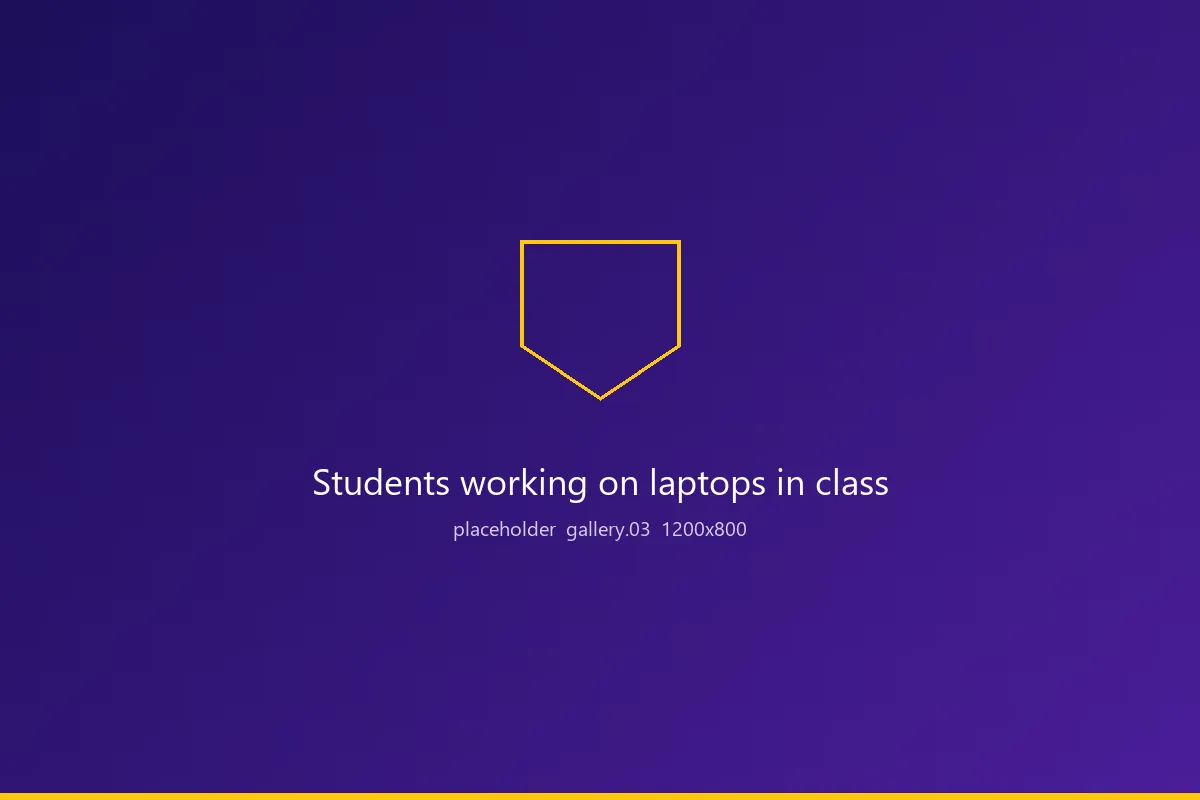 Placeholder image. Students working on laptops in class